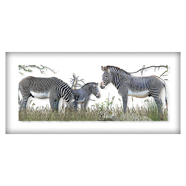 ZEBRAS