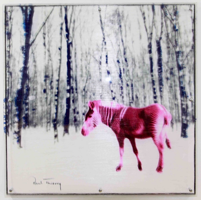 PAUL THIERRY - SCHWARZES SCHAF